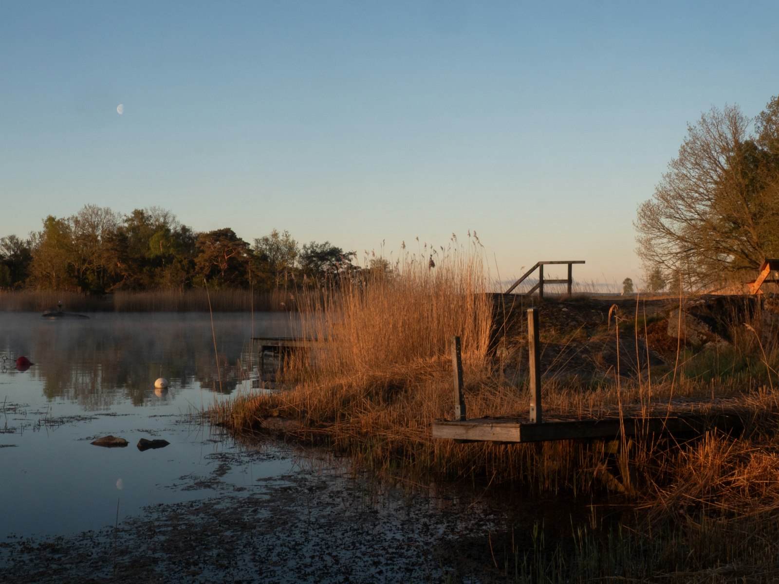 A still lake at sunrise with golden reeds and a small dock